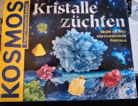 Experimentierkasten/Kristalle züchten Bayern - Ingolstadt Vorschau