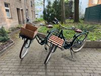 Partnerfahrräder Triumph Cityrad 28" Rahmenhöhe 48 & 54 cm | grün Berlin - Lichtenberg Vorschau