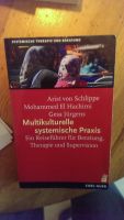 von Schlippe u.a.: Multikulturelle systemische Praxis 2013 Baden-Württemberg - Ulm Vorschau