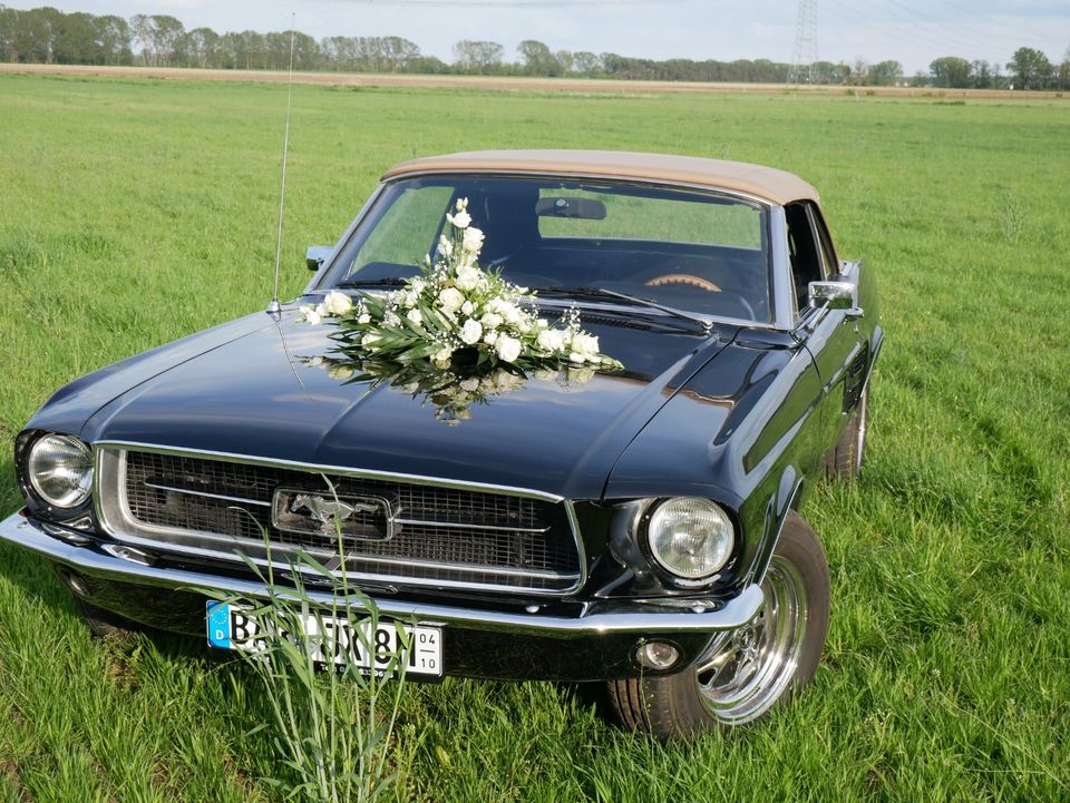 Ford Mustang mieten Rent a Mustang b. Berlin 1968 V8 4.7 Cabrio in Bernau