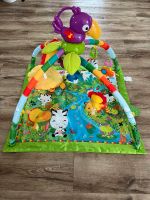 Fisher Price Spielbogen Rainforest, mit Musik und Lichtern Nordrhein-Westfalen - Simmerath Vorschau