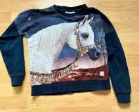 Molo sweater Größe 152 Pferd Niedersachsen - Northeim Vorschau