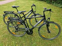 Pegasus Piazza City Fahrrad Damen-Herren Fahrräder Thüringen - Jena Vorschau