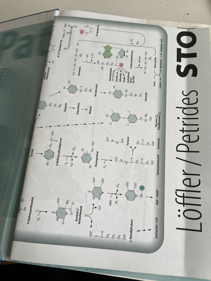 Biochemie Lehrbuch in Rostock