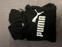 Puma Pullover Rheinland-Pfalz - Trier Vorschau