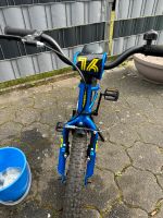 Haibike Kinder Fahrrad Anfänger Bike 16 Zoll Hessen - Bad Endbach Vorschau