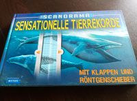 Sensationelle Tierrekorde mit Klappen+Röntgenschieber Nordrhein-Westfalen - Geldern Vorschau