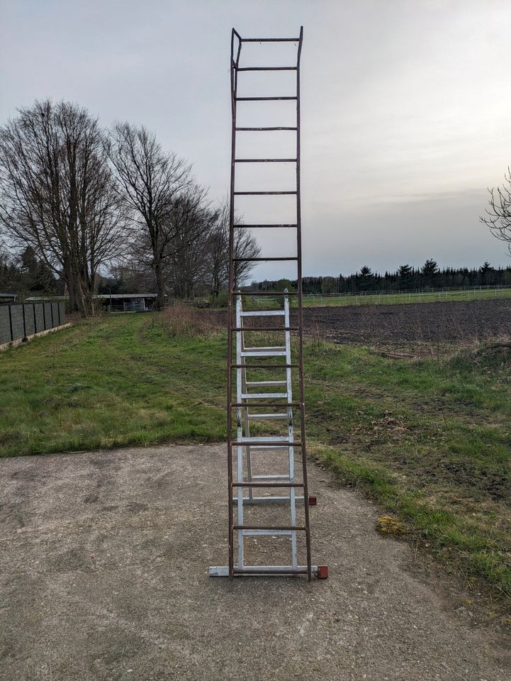 Schöne alte Metalleiter Gartendeko in Hohenlockstedt