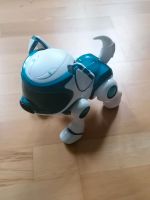 Roboter Hund Sachsen-Anhalt - Oppin Vorschau