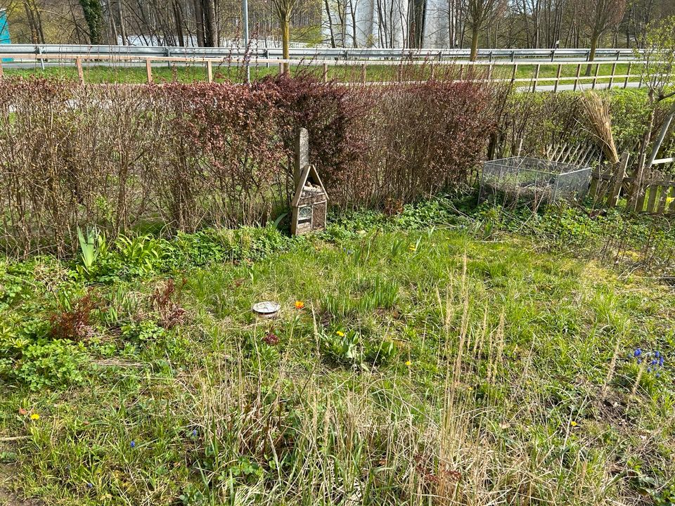 Garten mit massivem Gartenhaus in Doberan Ostseenähe in Bad Doberan