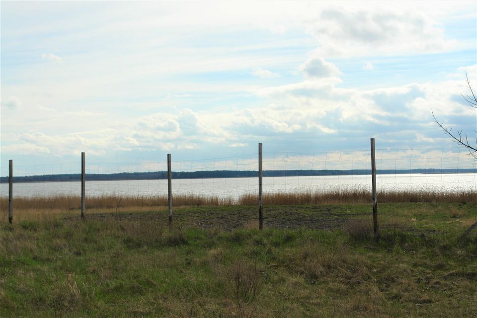 Stettiner Haff Baugrundstück mit Seeblick Nowe Warpno in Mecklenburg
