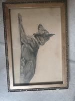 Gemälde, 1923?, Signatur H... Schäferhund Bayern - Gallmersgarten Vorschau