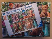 Ravensburger Puzzle 500 Teile Katzen Bayern - Ingolstadt Vorschau