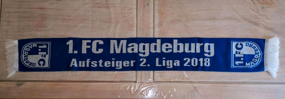 1.FCM -1.FC Magdeburg Schal in Magdeburg