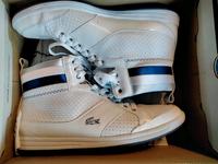 Lacoste Sportschuhe   Gr.41   Neuwertig  99,90 € Niedersachsen - Uelzen Vorschau