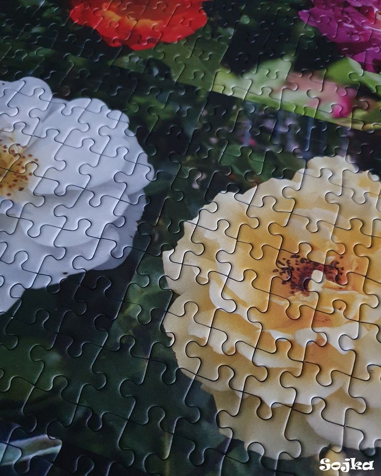 Puzzle 1000 Teile "Roses Collage" in Bassum