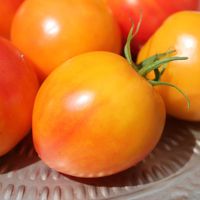 10 Bio Tomatensamen, Little Lucky Heart, süß, fruchtig Leipzig - Leipzig, Zentrum Vorschau