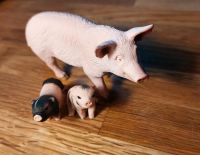 Schleich Schweinfamilie Baden-Württemberg - Bad Rappenau Vorschau