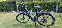 E-Bike Pegasus Herrenfahrrad Bayern - Fürth Vorschau