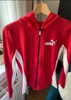 1x Puma Jogginganzug Gr. S Dresden - Striesen-West Vorschau