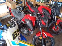 romet zxt 50ccm rot Nordrhein-Westfalen - Langenfeld Vorschau