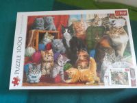 Katzen Puzzle 1000 Teile Brandenburg - Spremberg Vorschau