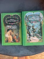 Set 2 Bücher Ludwig Ganghofer Fackel Jungfrau Waldrausch Sachsen-Anhalt - Apenburg-Winterfeld Vorschau