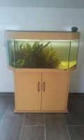 Juwel Aquarium mit Schrank,Beleuchung,Inneniflter u.Futterautomat Hessen - Biebesheim Vorschau