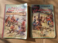 J.F. Cooper Abenteuerbücher Unter Sioux und Pahnis / Falkenauge Baden-Württemberg - Freiburg im Breisgau Vorschau