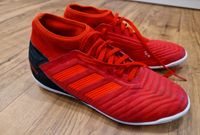 Adidas Predator rot Hallenschuh Gr 38 2/3 Schleswig-Holstein - Schaalby Vorschau