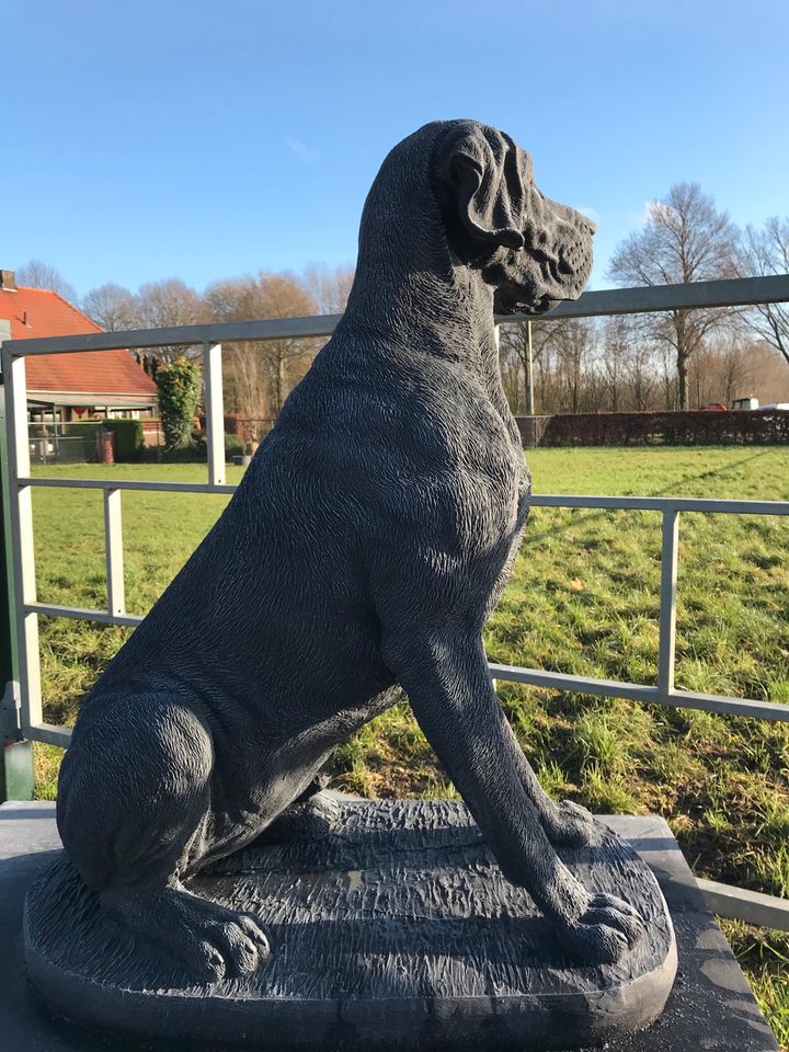 Dogge 106cm 200kg Steinguss deutsche Dogue dänische Dogo Hatzrüde in Schönefeld