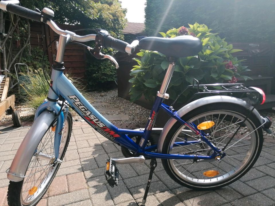 Fahrrad Pegasus 20 Zoll in Schwülper