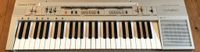 Suche Keyboard Casio Casiotone CT-310 auch defekt, Zustand egal Hessen - Alsfeld Vorschau