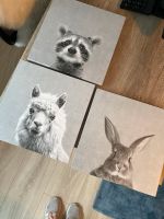 3 Tier Bilder auf Leinwand Münster (Westfalen) - Kinderhaus Vorschau