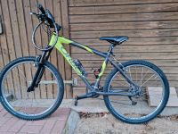 Orbea Mountainbike / Dirtbike / Fahrrad 26 Zoll Parchim - Landkreis - Crivitz Vorschau