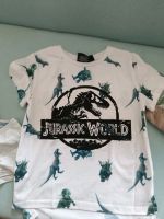 T-Shirt Oberteile Jungs Shirt Jurassic world Leipzig - Möckern Vorschau