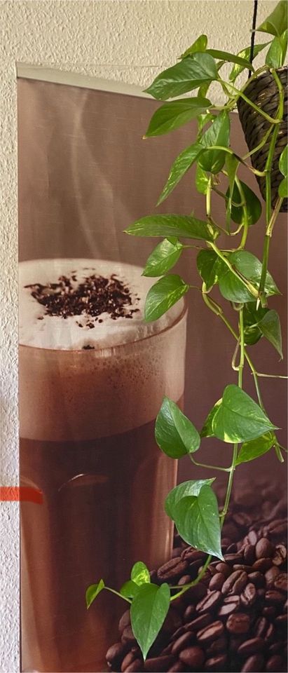 2 x Kaffee Motiv Vorhang Bild 145 x 58 cm je 15€ in Gotha