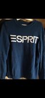 Esprit Pullover Bayern - Schongau Vorschau
