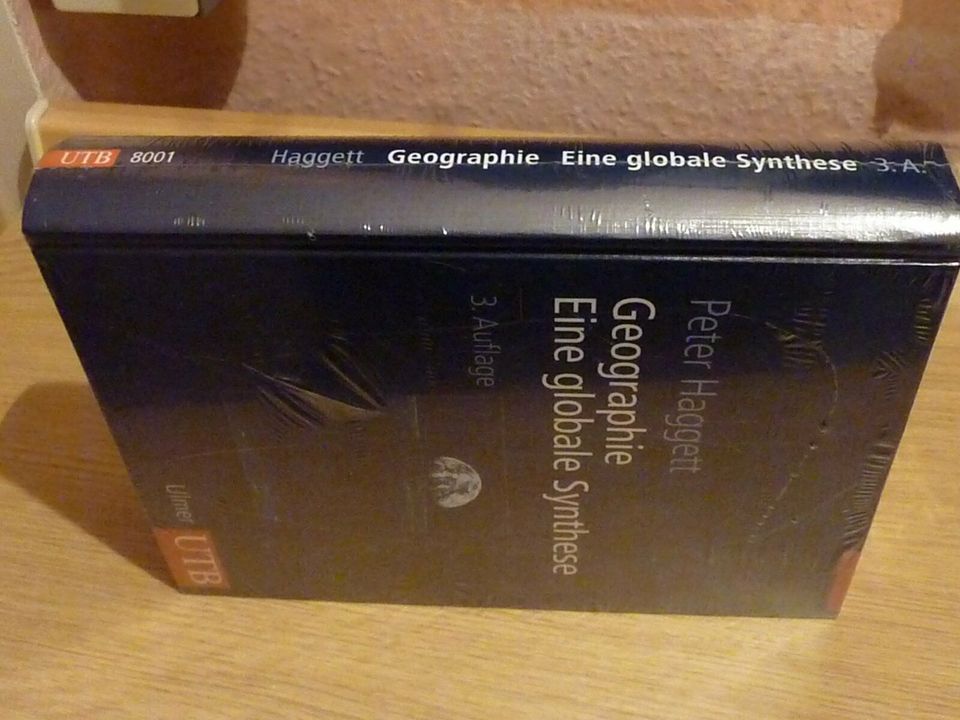 Buch "Geographie: Eine globale Synthese" / P. Haggett / OVP in Halle