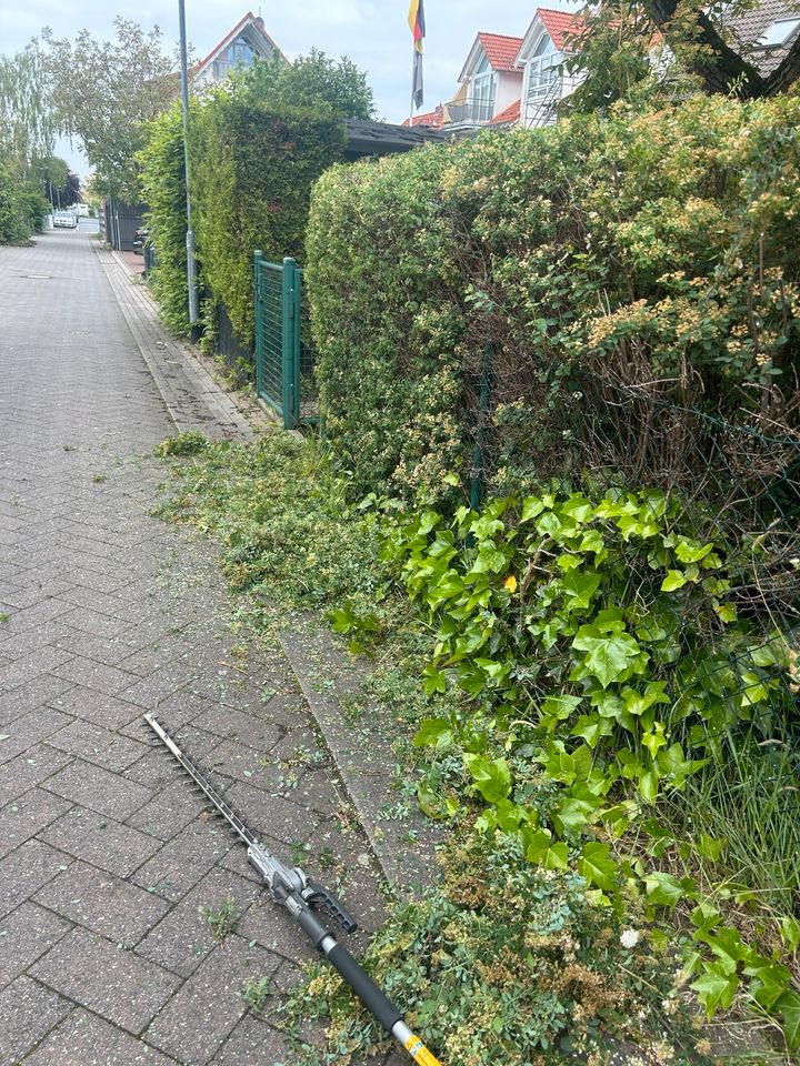 Verschiedene Garten-Grundstückspflegearbeiten , Vermietung uvm in Pfungstadt