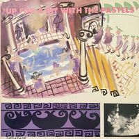 Vinyl: Up For A Bit With The Pastels (Indie, rar, inkl. Versand) Hessen - Bad Homburg Vorschau
