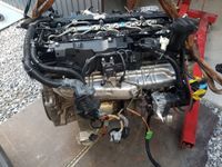 Motor BMW N57D30A 245PS 530d 330d X5 X6 52tkm komplett Berlin - Wilmersdorf Vorschau