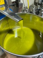 Extra natives Olivenöl, verarbeitet in Italien-Apulien 2023 2024 Mitte - Wedding Vorschau