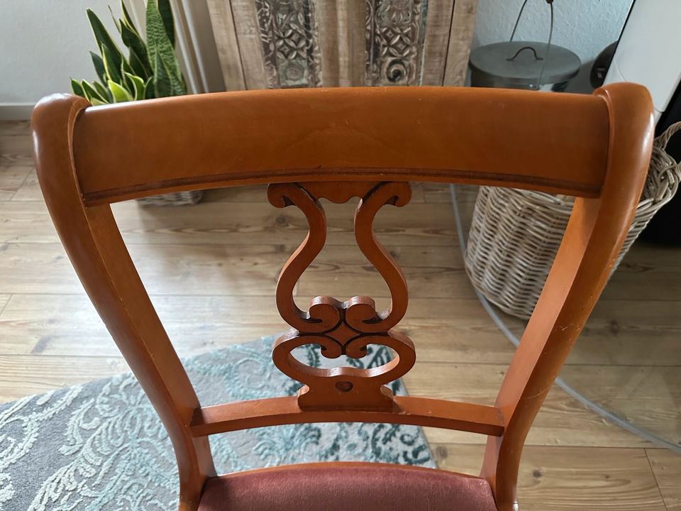 4 Stühle Stuhl Polsterstühle Massivholz in Blekendorf
