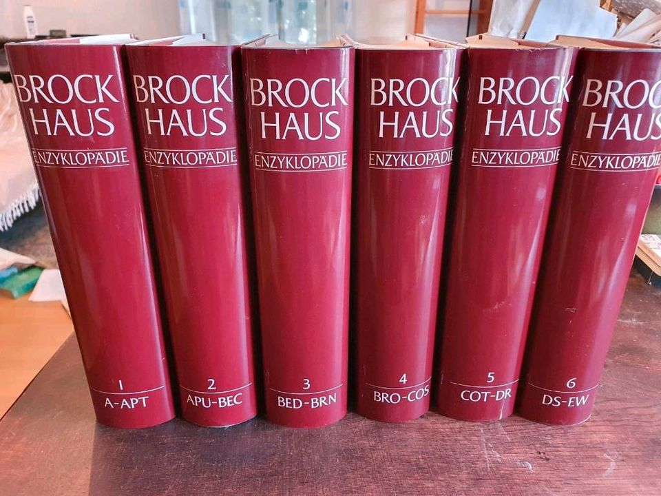 Brockhaus Enzyklopädie 30 Bände mit Goldrand in Egelsbach