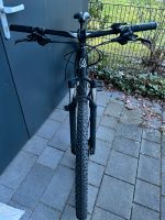 Axess grade Mountainbike Nordrhein-Westfalen - Gütersloh Vorschau