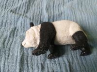 Schleich Panda Niedersachsen - Osnabrück Vorschau