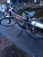E Bike Gazelle Niedersachsen - Nordhorn Vorschau