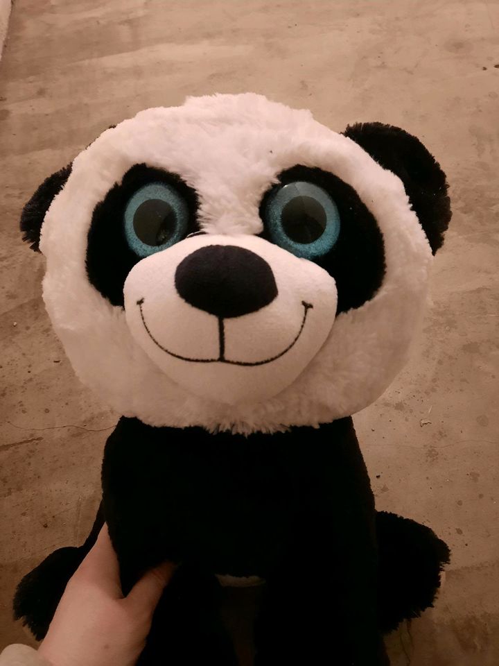 Großer süßer panda in Nettetal