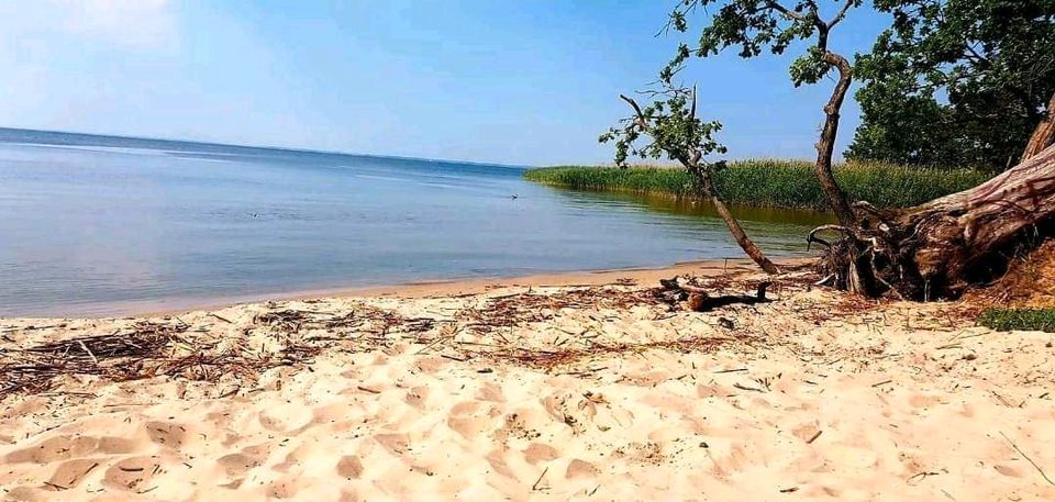 Ferienwohnung Stettiner Haff in Ahlbeck